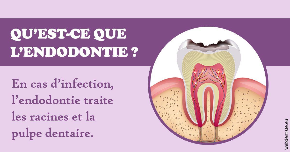 https://www.agoradent.fr/2024 T1 - Endodontie 02