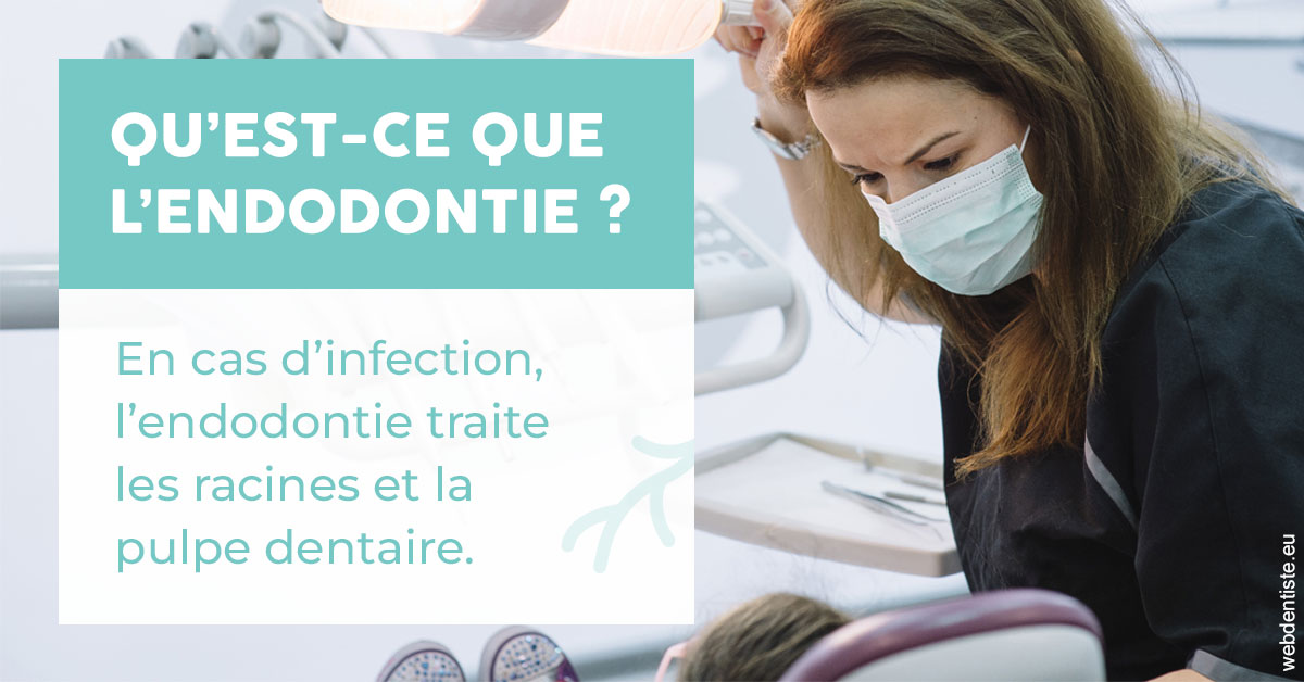 https://www.agoradent.fr/2024 T1 - Endodontie 01