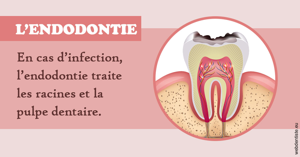 https://www.agoradent.fr/L'endodontie 2